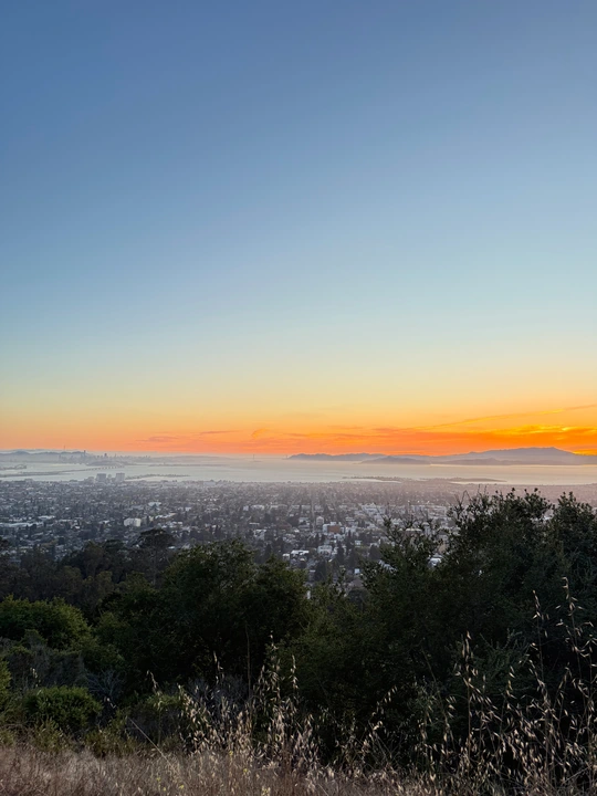 Sunset over a bay and city seen from a grassy hillside